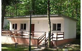 Leśna Ryba I Domki i Park Linowy